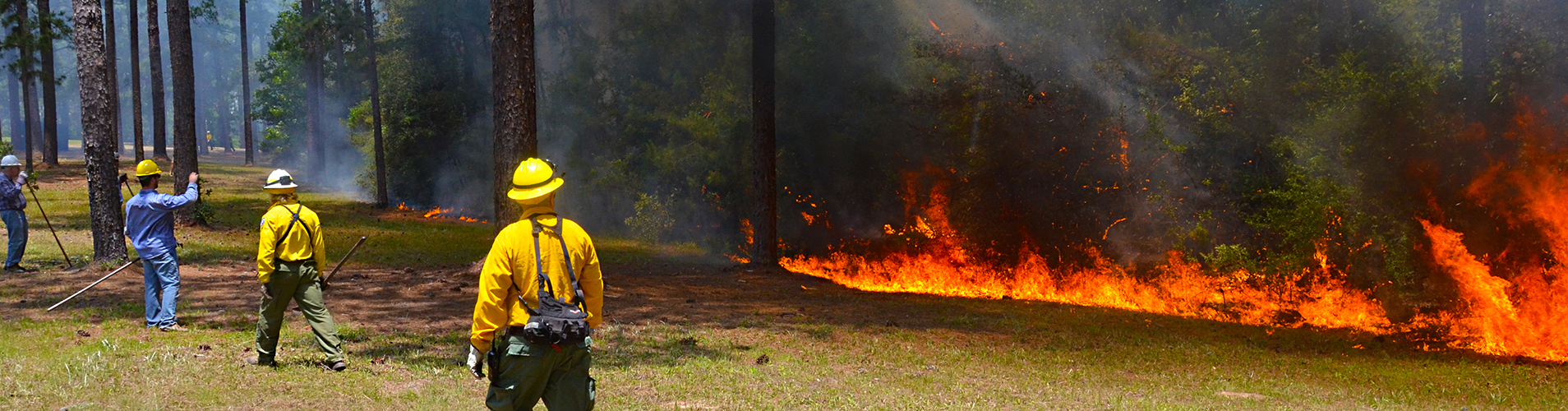 Men watching prescribed burn.